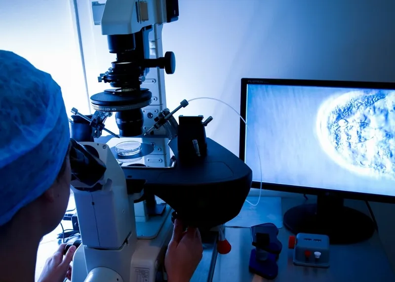 A fertility specialist consulting with a couple during an IVF assessment at an Istanbul clinic.
