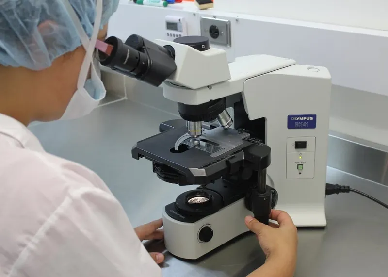 Automated analyzers processing patient samples in an accredited Istanbul medical laboratory